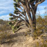 Review photo of Afton Canyon Campground by Brittney  C., January 26, 2021