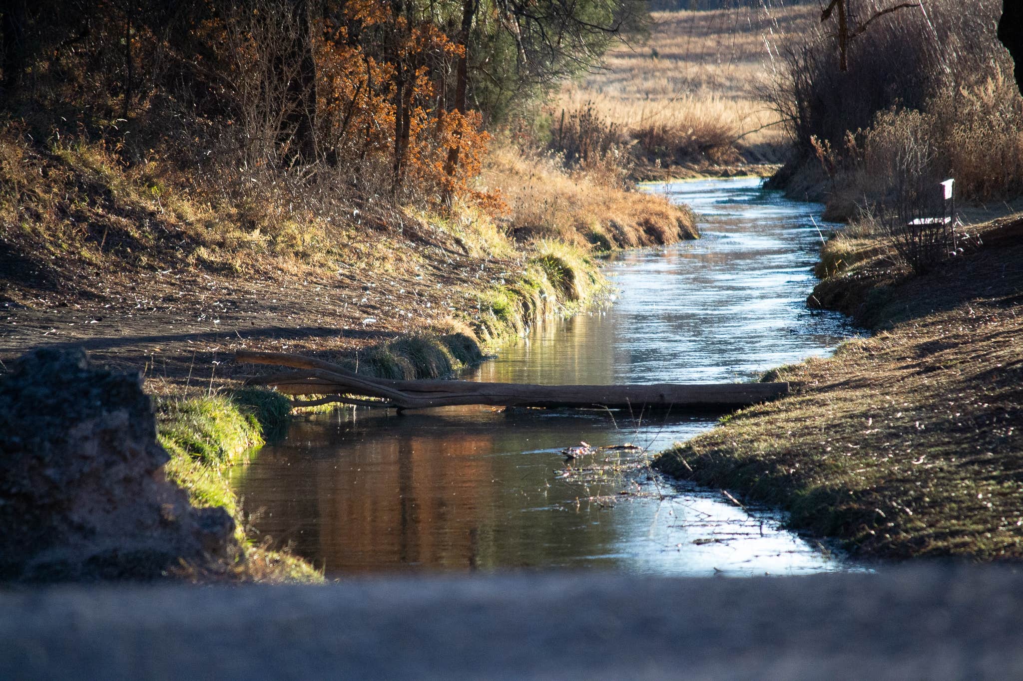 Camping near 16 Springs: The Camp @ Cloudcroft RV Park, Mayhill, New Mexico