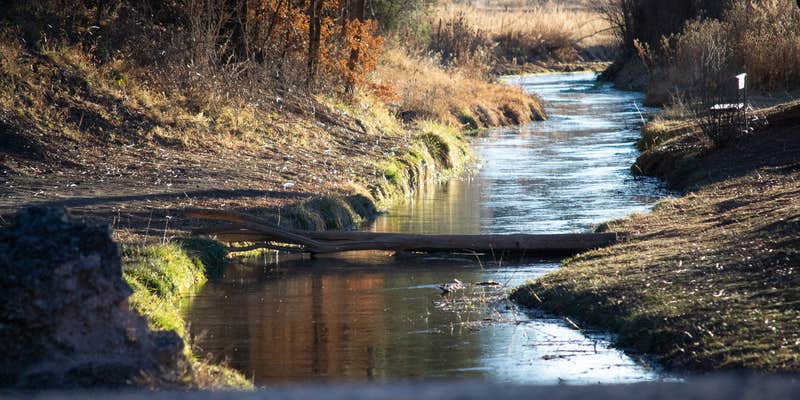 Camper submitted image from The Camp @ Cloudcroft RV Park