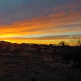 Review photo of Saddle Mountain BLM (Tonopah, AZ) by Laura M., January 26, 2021