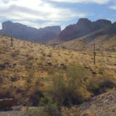 Review photo of Saddle Mountain BLM (Tonopah, AZ) by Laura M., January 26, 2021