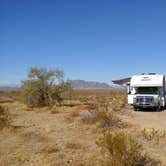 Review photo of Saddle Mountain BLM (Tonopah, AZ) by Laura M., January 26, 2021