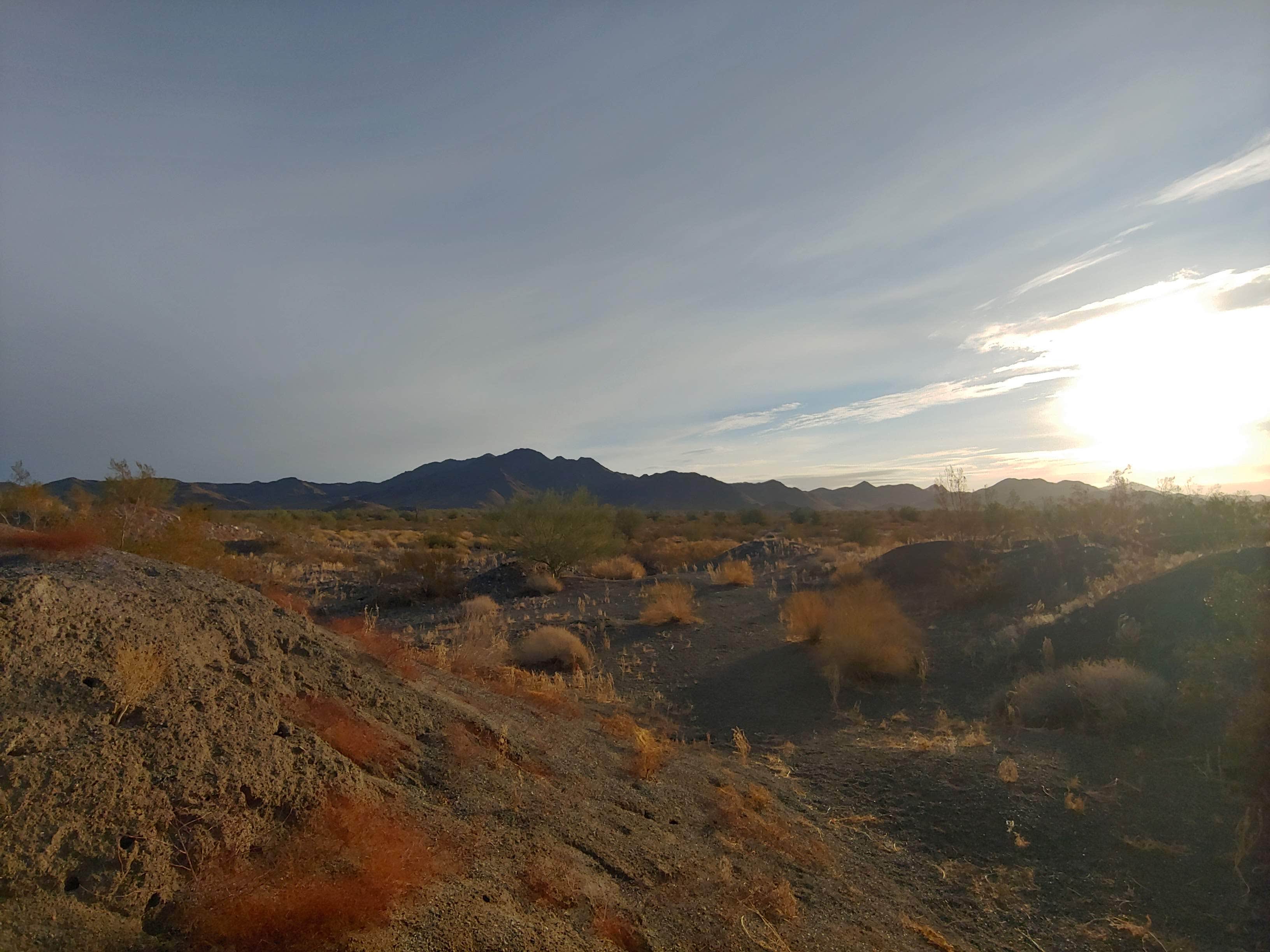 Camper-submitted photo at Vicksburg Pit Rd BLM near Salome, AZ