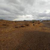 Review photo of Vicksburg Pit Rd BLM by Laura M., January 26, 2021