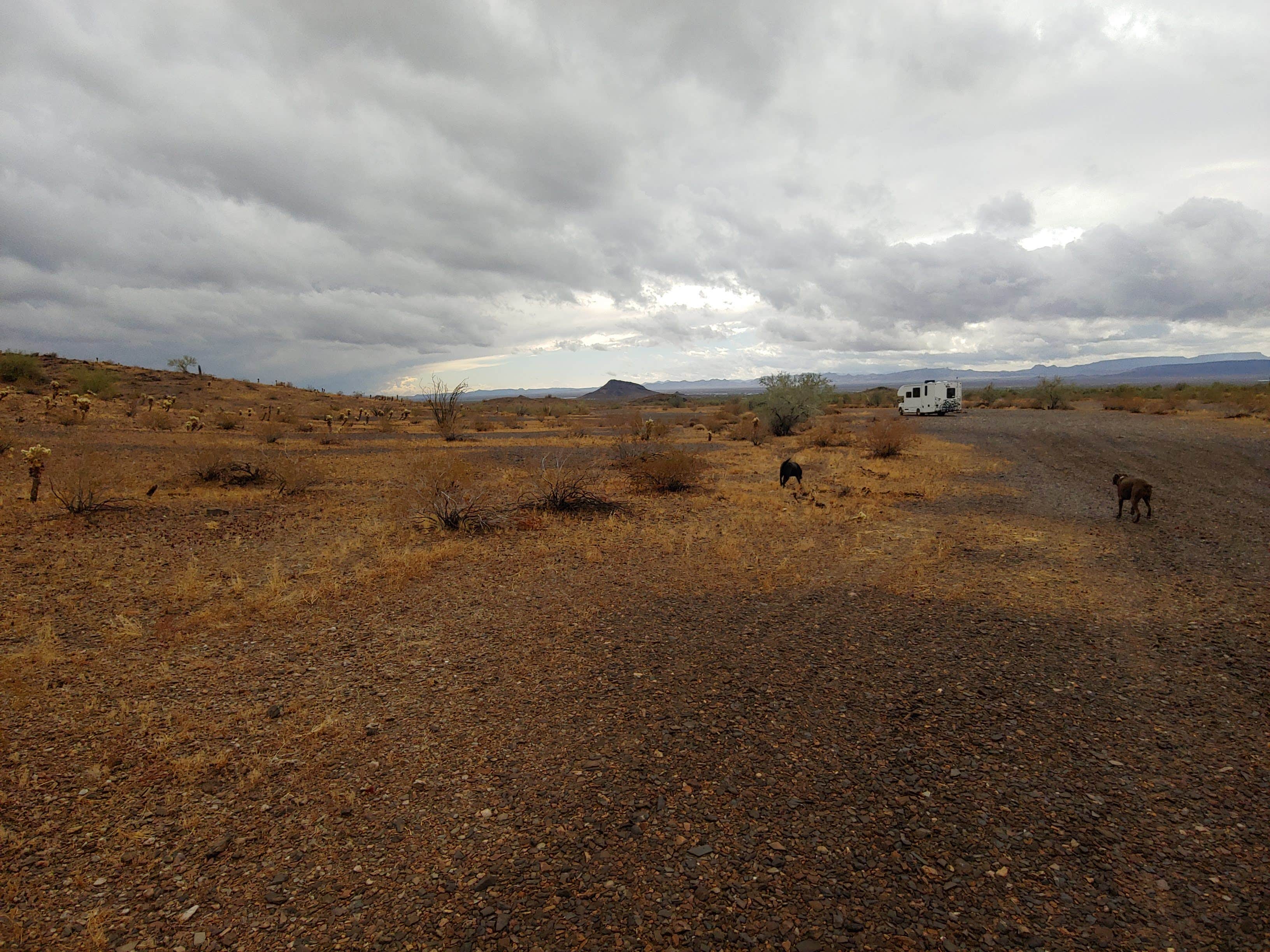 Camper submitted image from Vicksburg Pit Rd BLM - 2