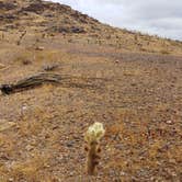 Review photo of Vicksburg Pit Rd BLM by Laura M., January 26, 2021