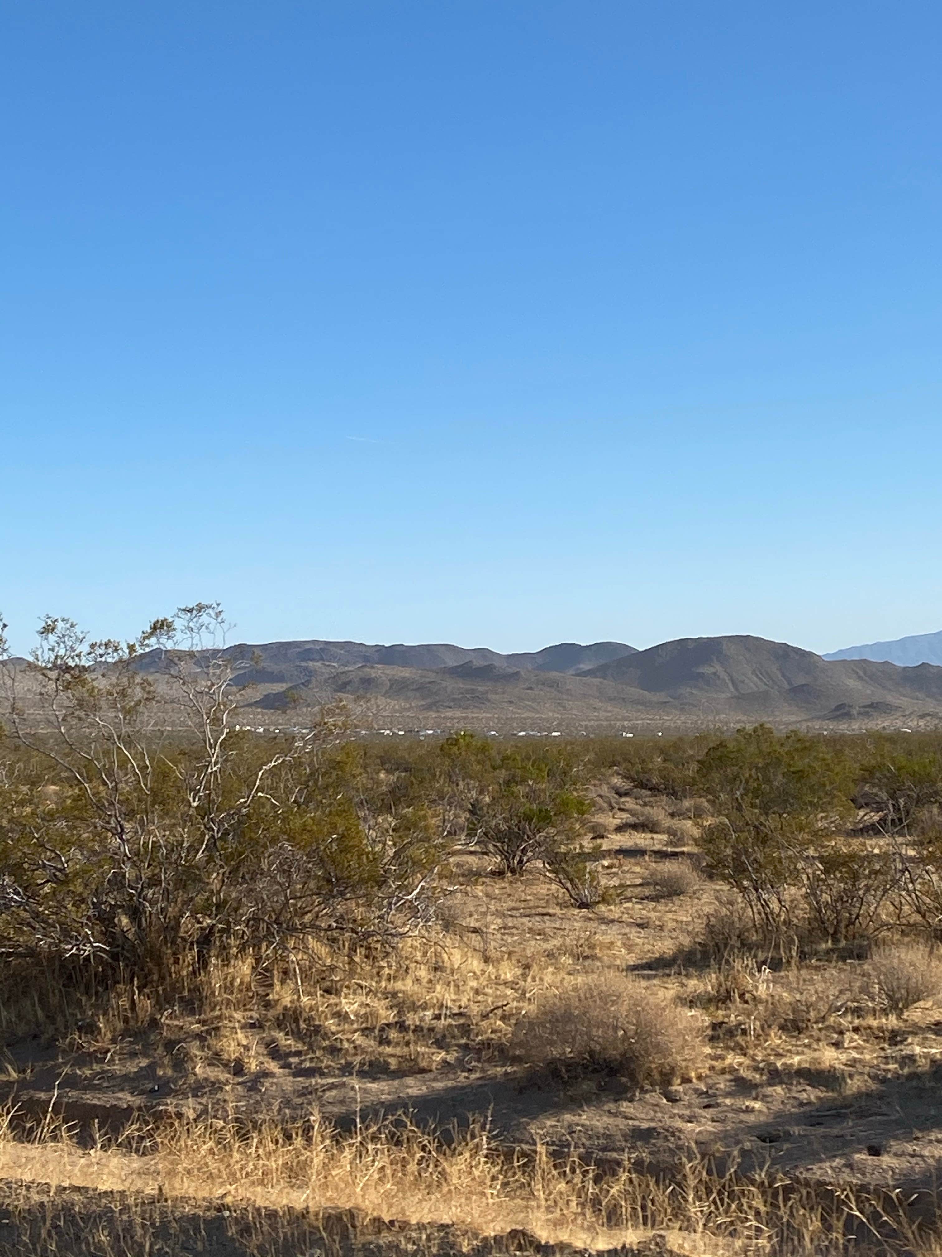 Camper-submitted photo at Wagon Wheel Staging Area near Red Mountain, CA