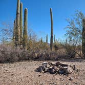 Review photo of Ajo BLM Dispersed by Vanessa M., January 26, 2021