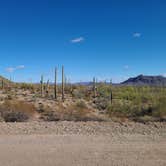 Review photo of Ajo BLM Dispersed by Vanessa M., January 26, 2021