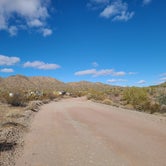 Review photo of Ajo BLM Dispersed by Vanessa M., January 26, 2021