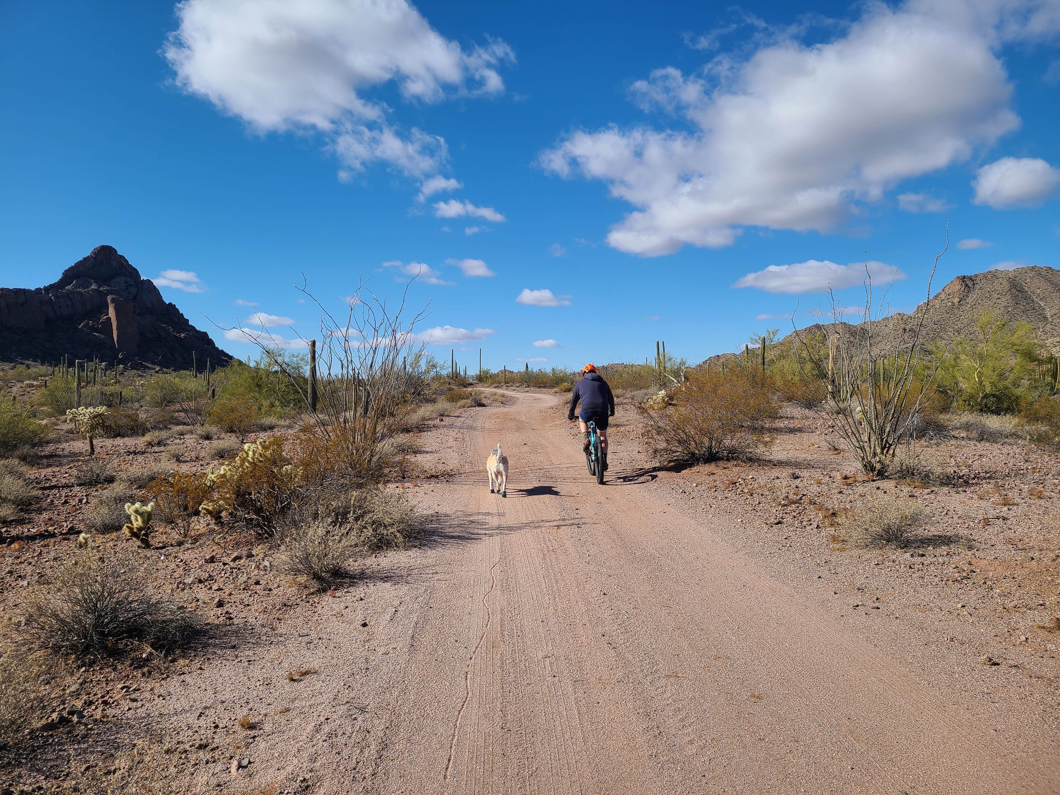 Camper submitted image from Ajo BLM Dispersed - 5