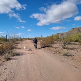 Review photo of Ajo BLM Dispersed by Vanessa M., January 26, 2021