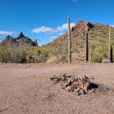 Review photo of Ajo BLM Dispersed by Vanessa M., January 26, 2021