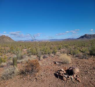 Camper-submitted photo from Ajo BLM Dispersed