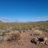 Review photo of Ajo BLM Dispersed by Vanessa M., January 26, 2021