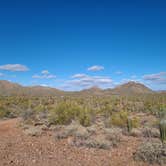 Review photo of Ajo BLM Dispersed by Vanessa M., January 26, 2021