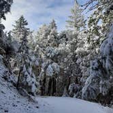 Review photo of Lacks Creek BLM by Deleting App D., January 24, 2021