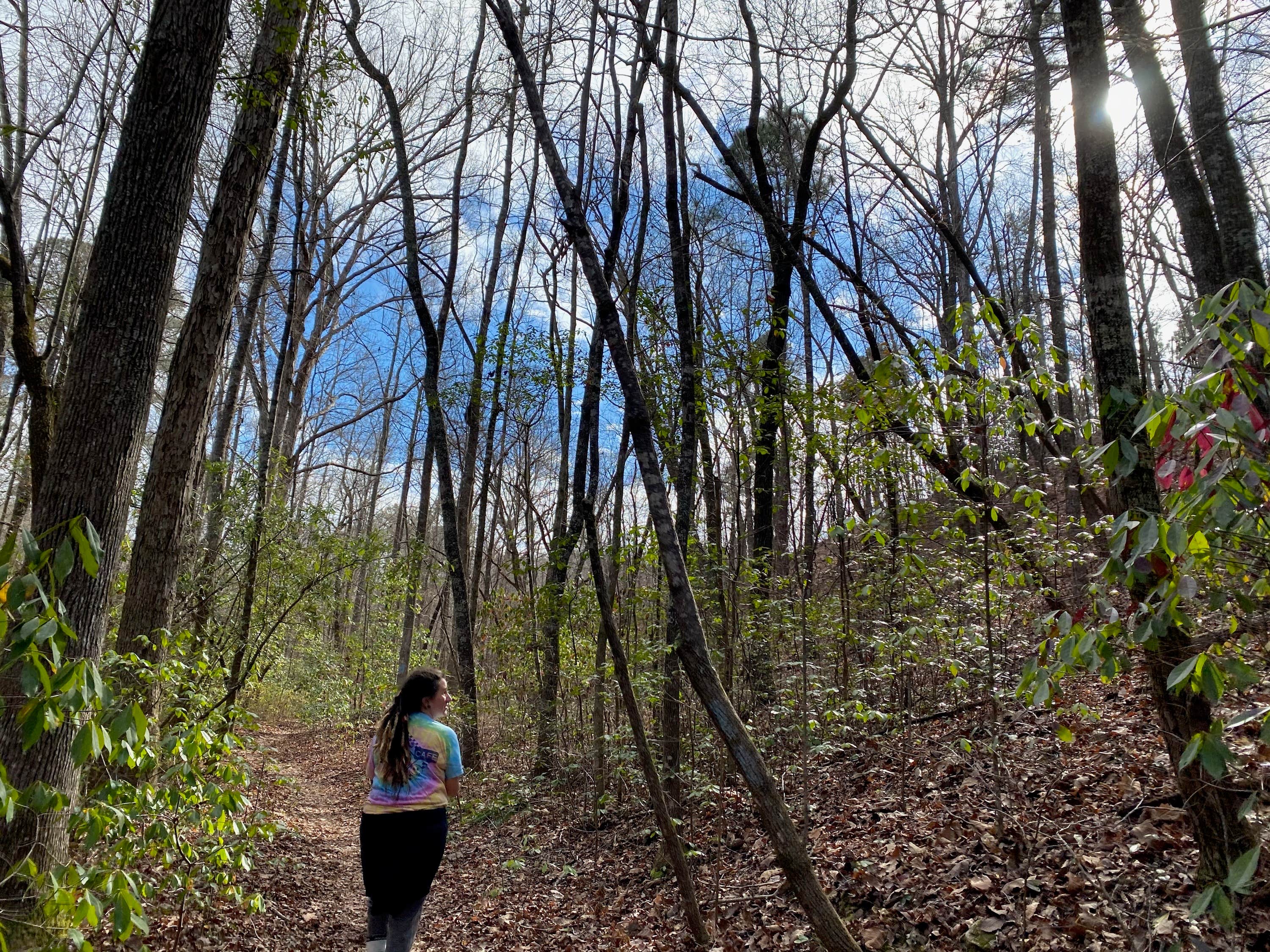 Camper-submitted photo at Franklin D Roosevelt State Park Campground near Thomaston, GA