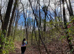 Franklin D Roosevelt State Park Campground