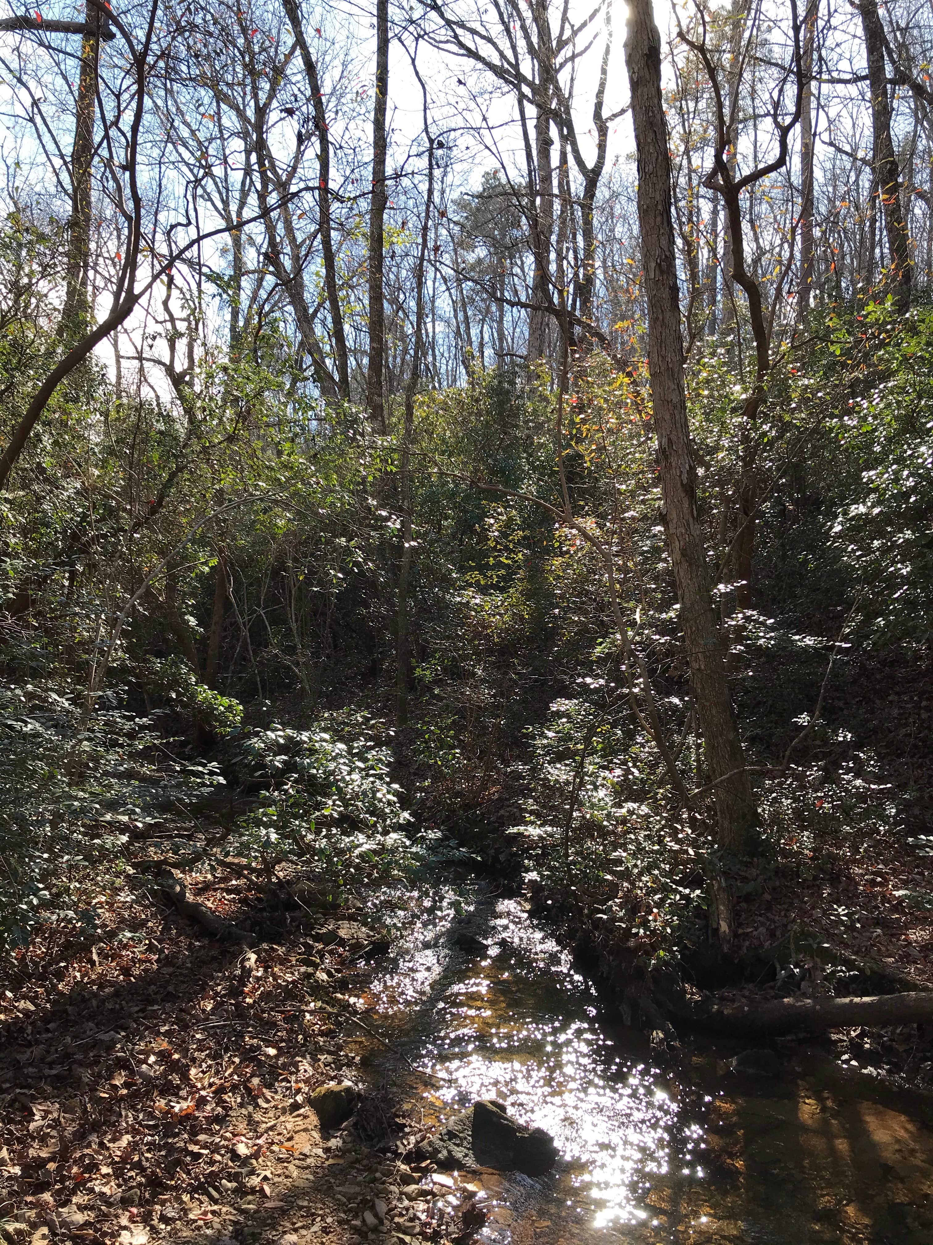 Franklin D Roosevelt State Park Campground