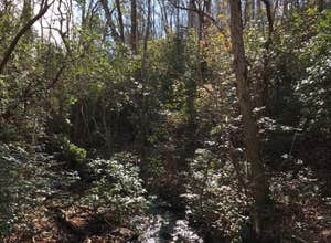 Franklin D Roosevelt State Park Campground