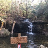 Review photo of Franklin D Roosevelt State Park Campground by Angela M., January 26, 2021