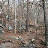 Review photo of High Falls State Park Campground by Angela M., January 27, 2021