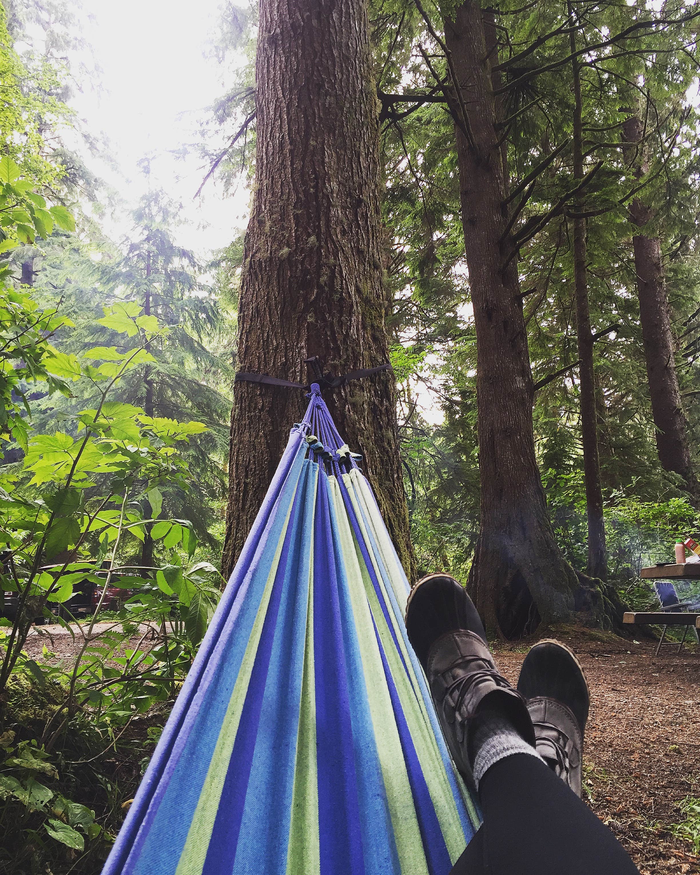 Camper submitted image from Mora Campground — Olympic National Park - 4
