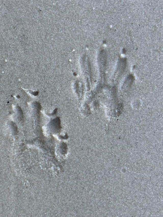 Camper-submitted photo at Fred Gannon Rocky Bayou State Park Campground near Destin, FL