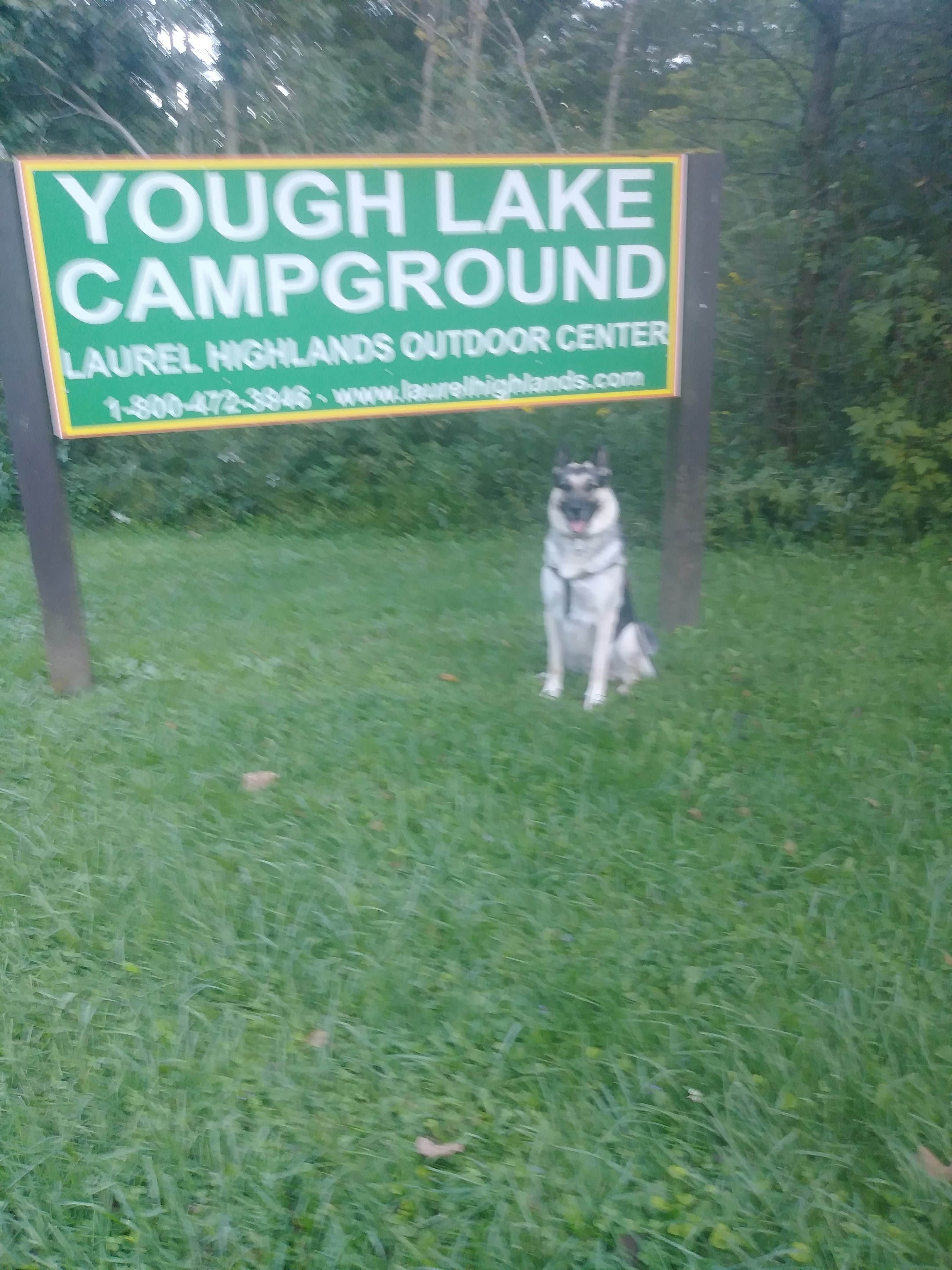 Teresa M.'s photo of camping with pets at Yough Lake Campground at Tub Run near Morgantown, WV
