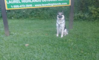 Teresa M.'s photo of camping with pets at Yough Lake Campground at Tub Run near Paw Paw, WV