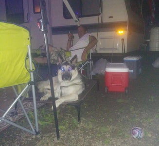 Camper-submitted photo from Yough Lake Campground at Tub Run
