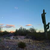 Review photo of Twin Peaks Campground — Organ Pipe Cactus National Monument by Vanessa M., January 27, 2021