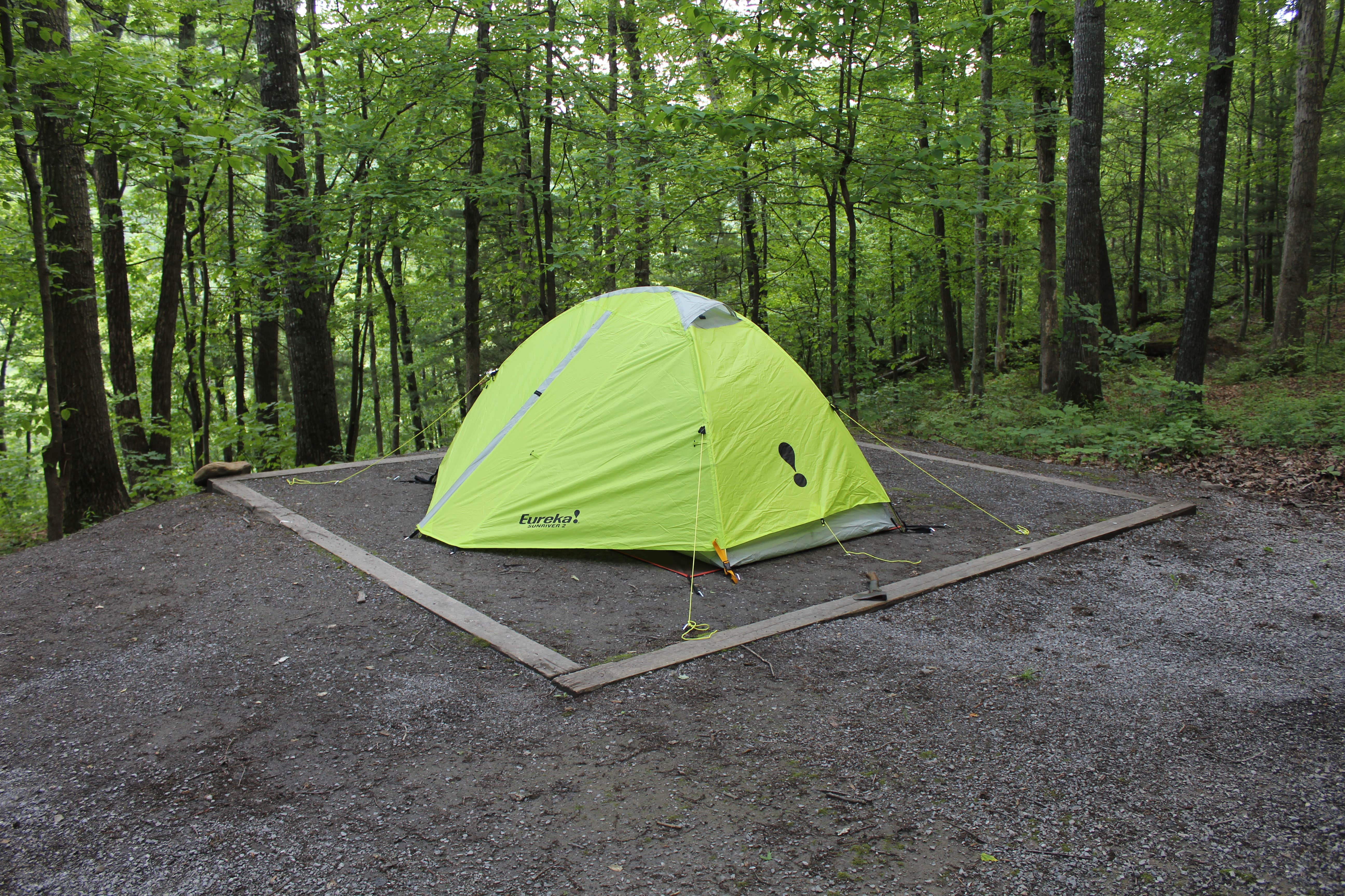 Kristen P.'s photo at Seneca Shadows near Circleville, WV