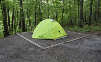 Kristen P.'s photo at Seneca Shadows near Circleville, WV