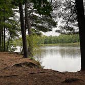 Review photo of William O'Brien State Park by Tessa Z., January 27, 2021