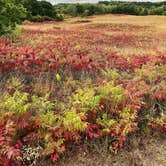 Review photo of William O'Brien State Park by Tessa Z., January 27, 2021