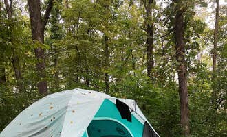 Camping near Veterans Campground On Big Marine Lake: William O'Brien State Park Campground, Marine on St. Croix, Minnesota