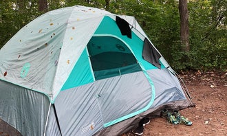 Camping near Ham Lake Resort: William O'Brien State Park, Marine on St. Croix, Minnesota