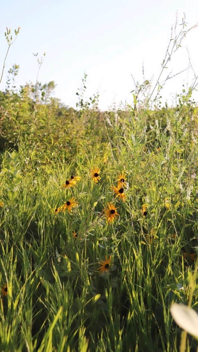 Camper submitted image from Glacial Lakes State Park Campground - 1