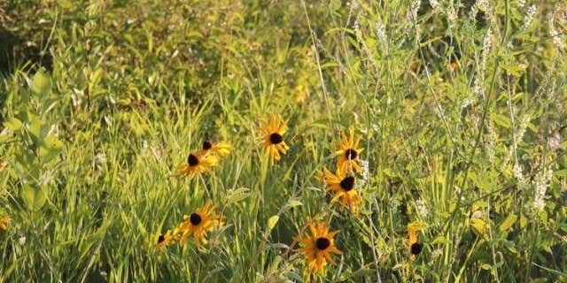 Camper submitted image from Glacial Lakes State Park Campground
