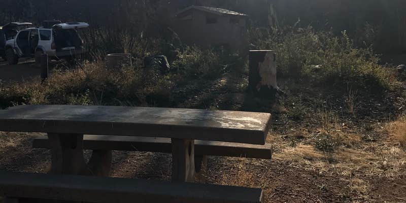 Camper submitted image from Buckhorn Campground