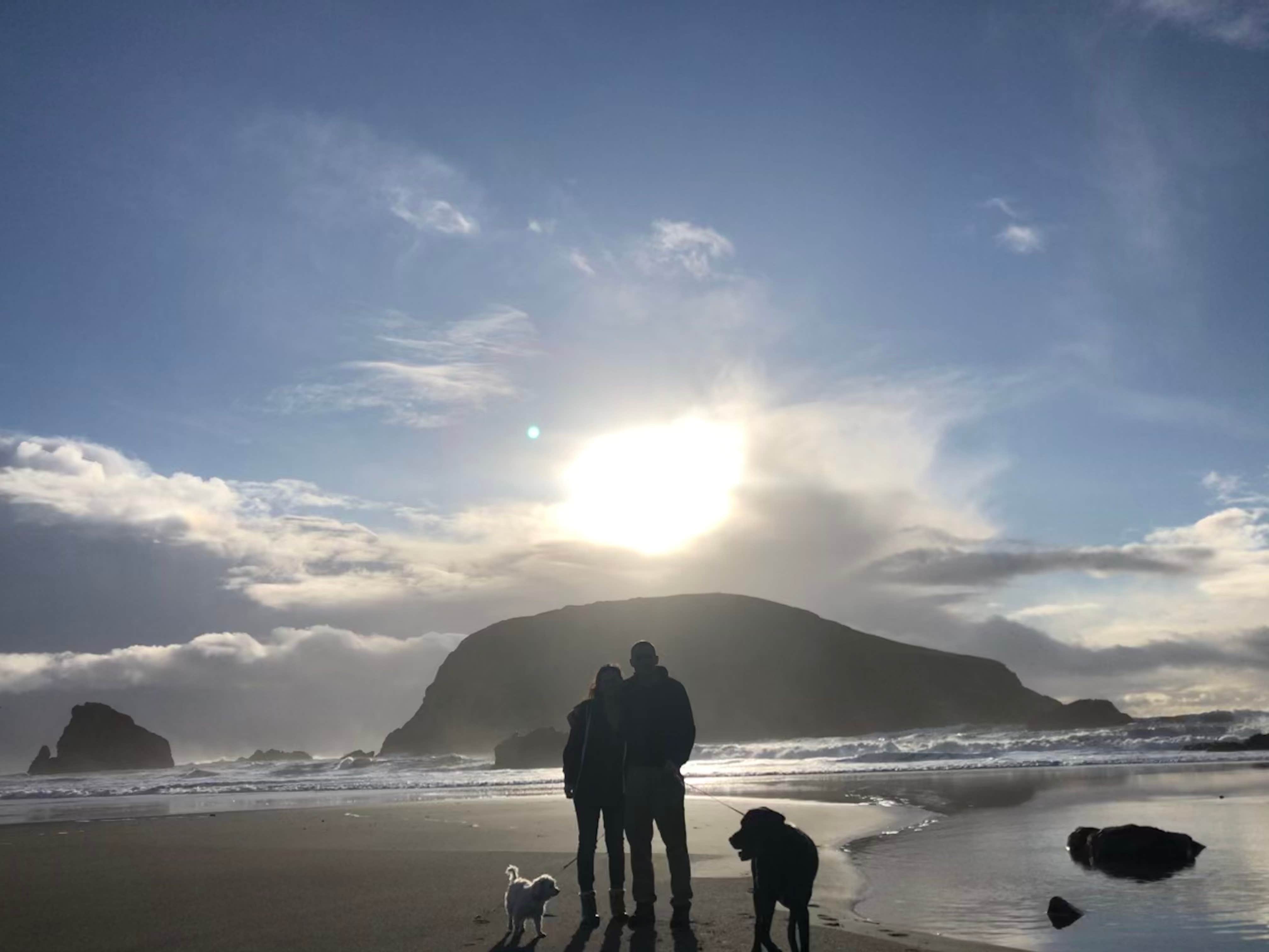 Allison S.'s photo of camping with pets at Harris Beach State Park Campground near O'Brien, OR