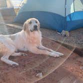 Review photo of Monument Valley KOA by Kayla M., January 27, 2021