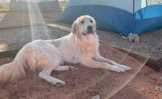 Kayla M.'s photo of camping with pets at Monument Valley KOA near Monument Valley, AZ