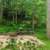 Review photo of Hune Bridge Campground by Shari  G., May 28, 2018