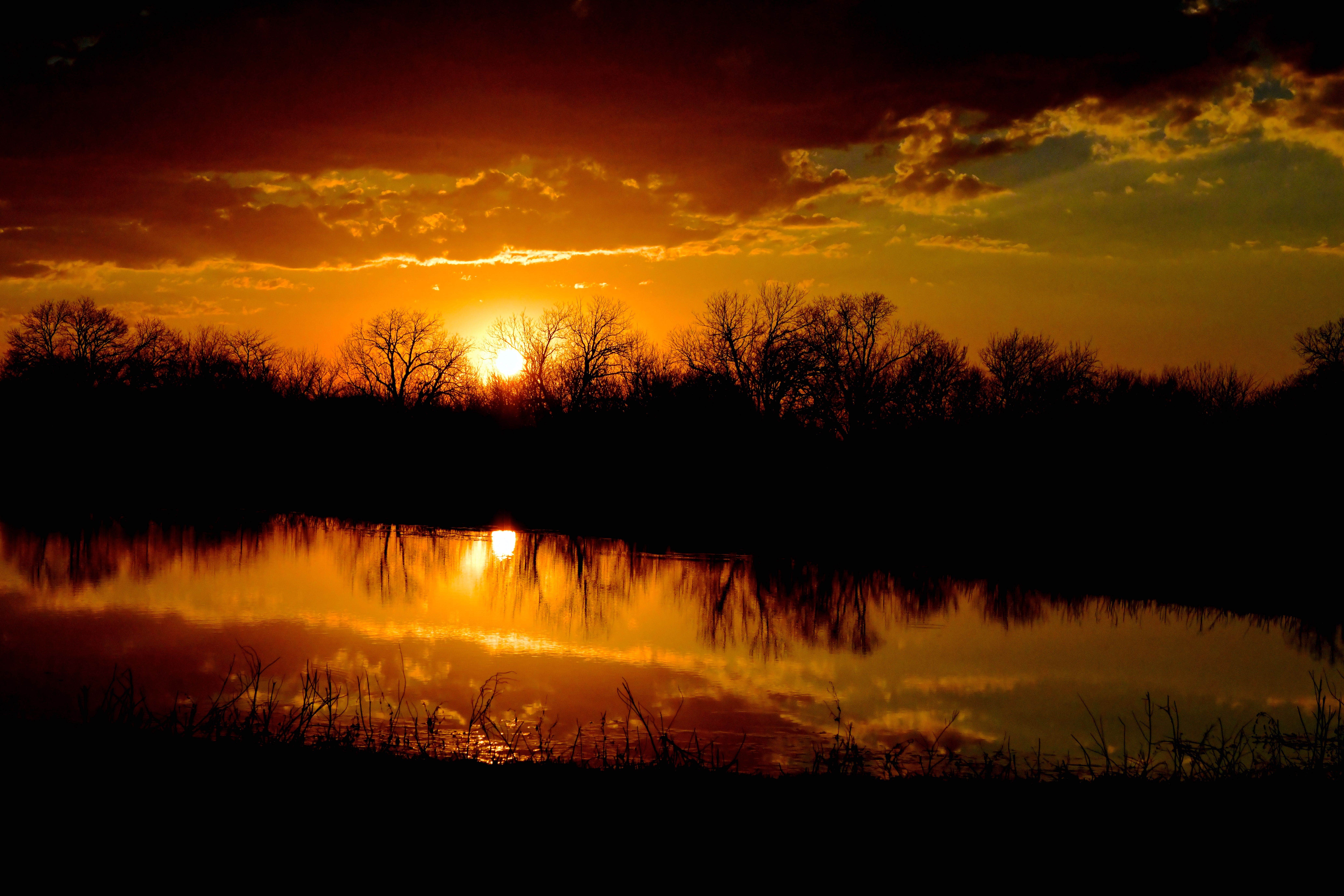 Camper-submitted photo at Sleep Under The Pecan Trees near Rowlett, TX