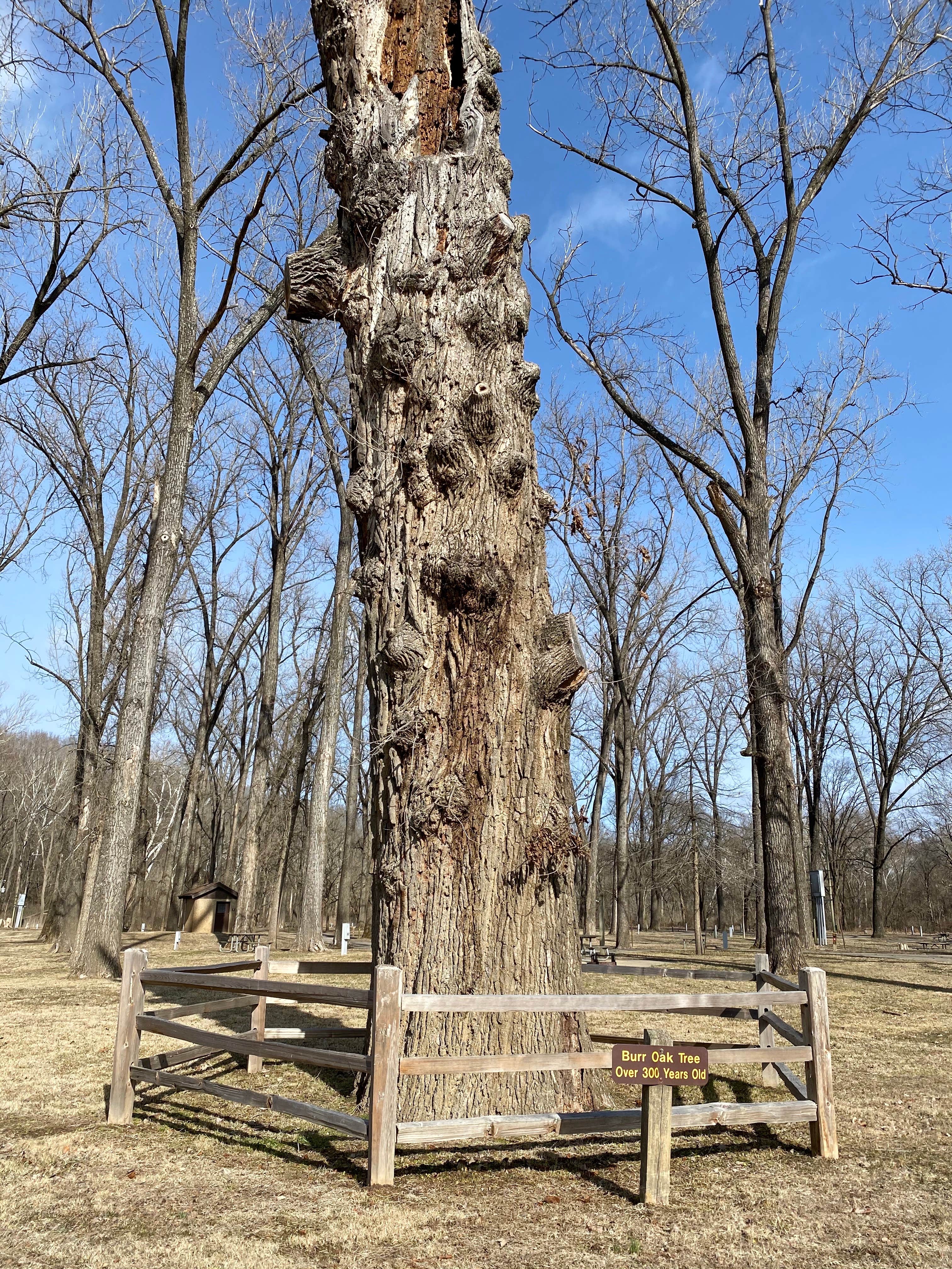Camper-submitted photo at Meramec State Park Campground in Missouri