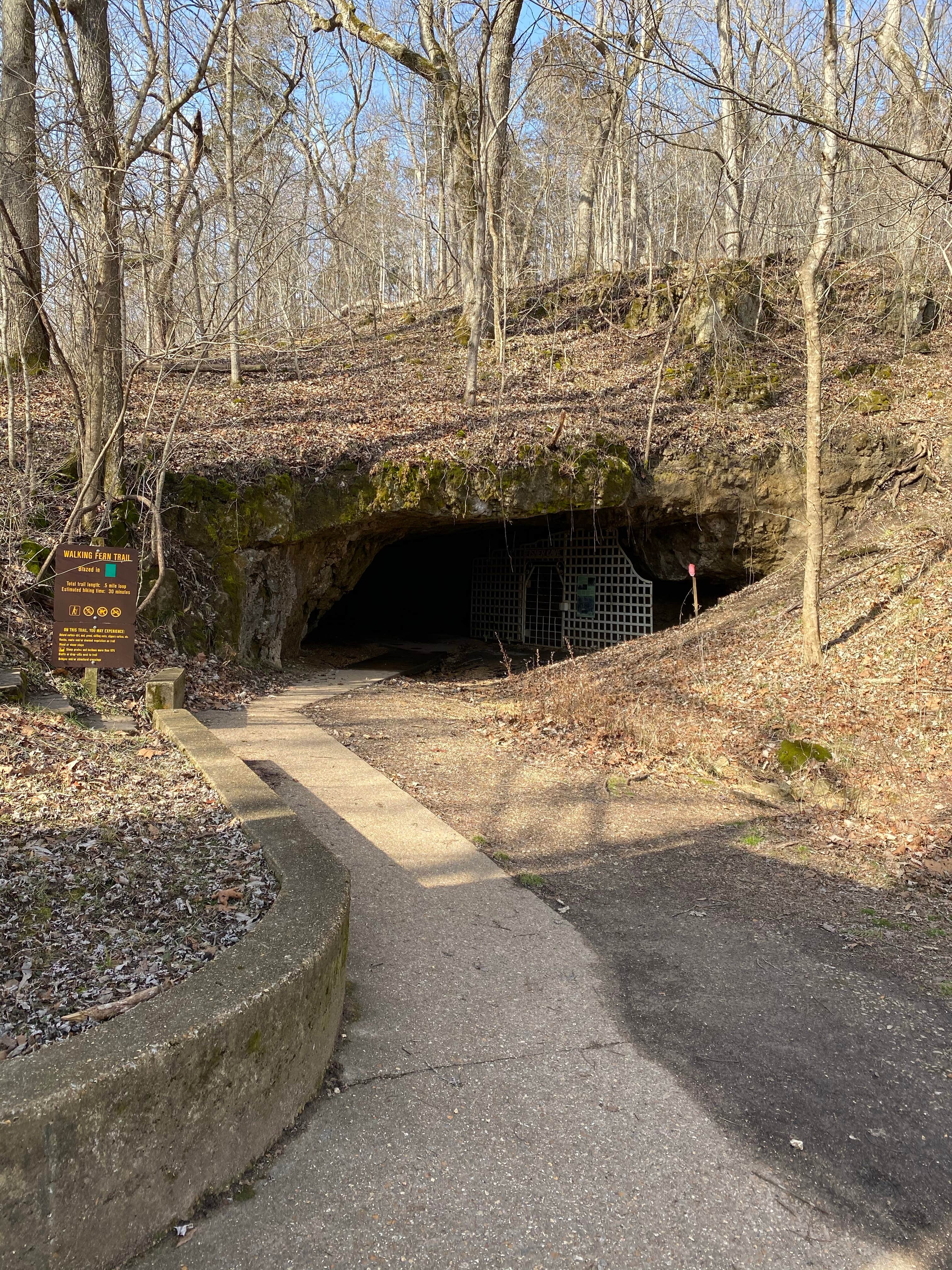 Camper submitted image from Meramec State Park Campground - 1