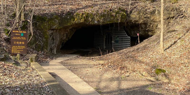 Camper submitted image from Meramec State Park Campground